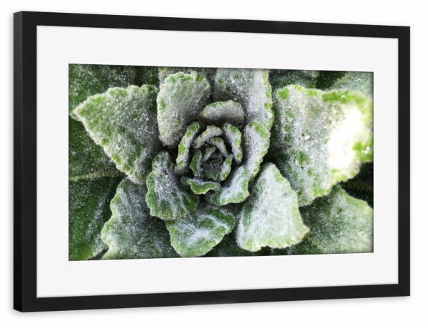 Poster mit Rahmen schwarz "Green Botanical" artboxONE - Natur,Floral