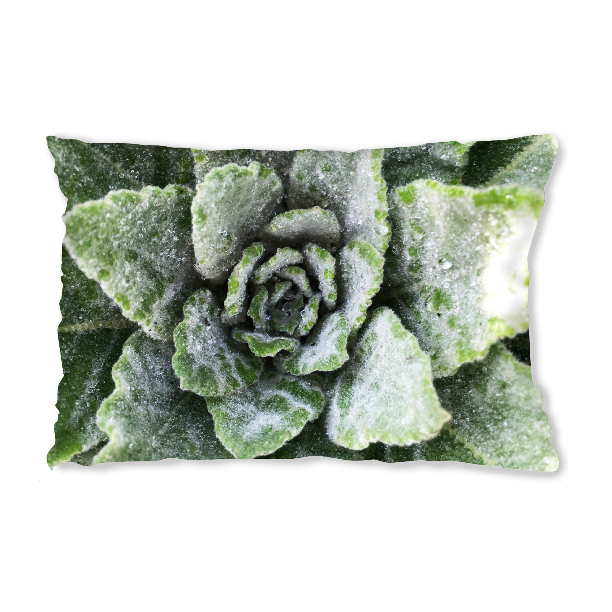 Design-Kissen "Green Botanical" artboxONE - Natur,Floral
