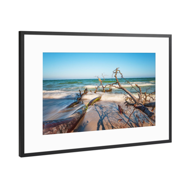 Poster mit Rahmen Schwarz (Metallic) "Baumstämme am Weststrand" artboxONE - Natur,Reise,Reise / Strand und Meer