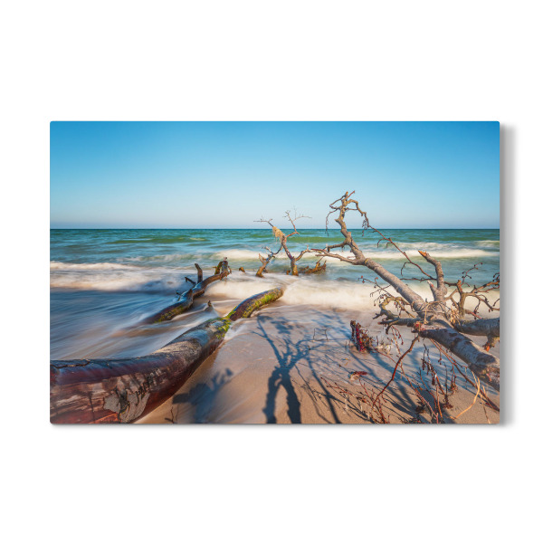 Galerie-Print "Baumstämme am Weststrand" 75x50 cm artboxONE