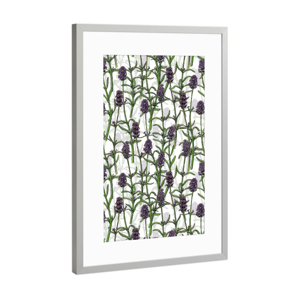 Poster mit Rahmen Silber "Lavendel w" artboxONE - Floral