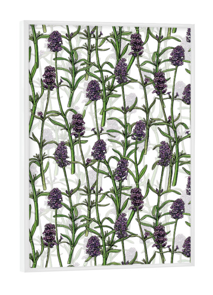 Poster mit weißem Rahmen "Lavendel w" artboxONE - Floral