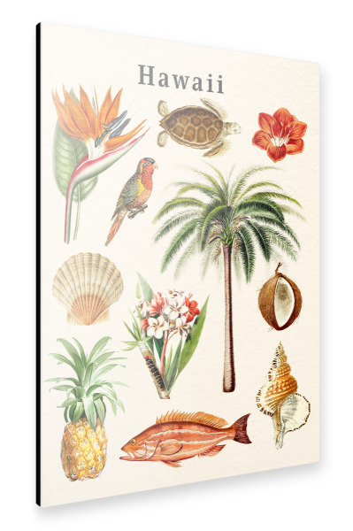 Alu-Dibond "Hawaii -Sammlung" 30x20 cm artboxONE