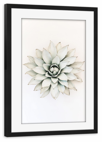 Poster mit Rahmen schwarz "Pastell Agaven Traum" artboxONE - Natur,Floral