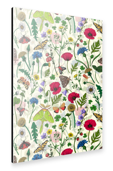 Alu-Dibond "Wilde Blumen und Motten" 75x50 cm artboxONE