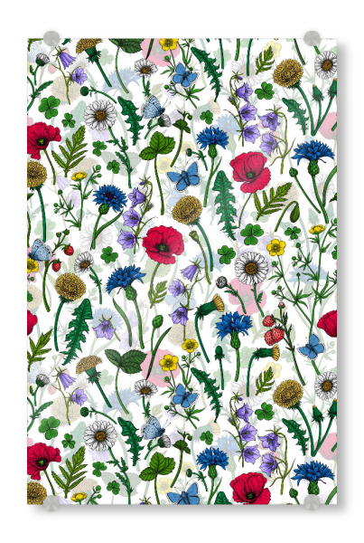 Acrylglasbild "Wild flowers, poppies, cornflowers" artboxONE - Floral