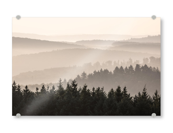 Acrylglasbild "Pfälzer Bergland" artboxONE - Natur - Wald,Bäume,Nadelbäume,Hügel,Nebel,Pfalz,Rheinland-pfalz