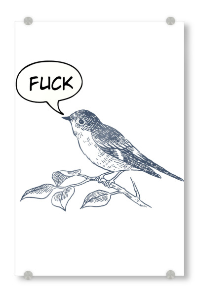 Acrylglasbild "Bird humor" artboxONE - Tiere,Lustig - Vogel,Zweig,Sprechblase,Humor,Strichzeichnung,Monochrom,Schimpfwort,Lustig,Natur,Kontrast