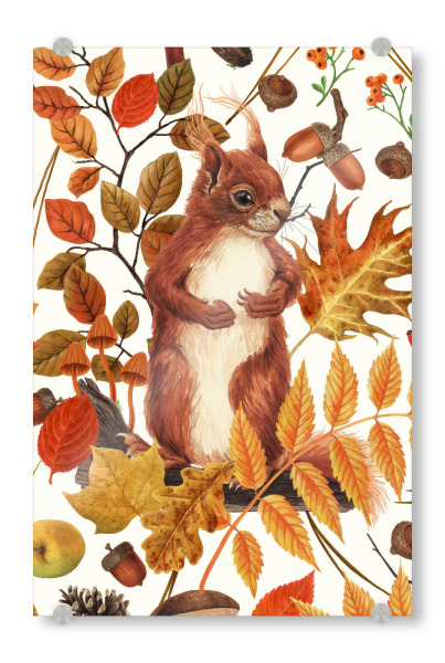 Acrylglasbild "Eichhörnchen und Flora auf Weiß" artboxONE - Tiere
