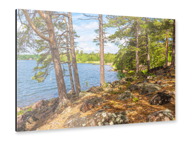 Alu-Dibond "Ostseeküste mit Bäume" 30x20 cm artboxONE