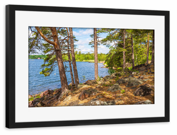 Poster mit Rahmen schwarz "Ostseeküste mit Bäume" artboxONE - Natur,Reise,Reise / Strand und Meer,Reise / Länder