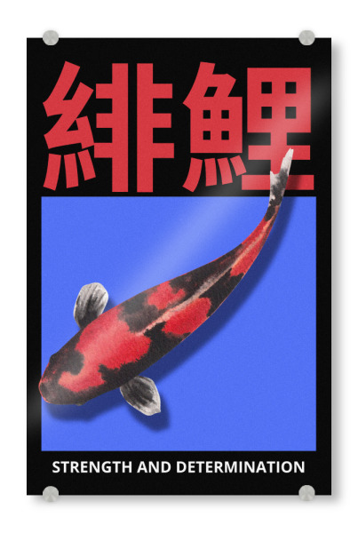 Acrylglasbild "Koi fish red" artboxONE - Natur,Städte / Tokio