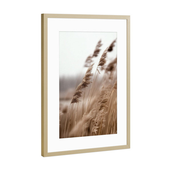 Poster mit Rahmen Gold "Windgepacktes Gras" artboxONE - Natur