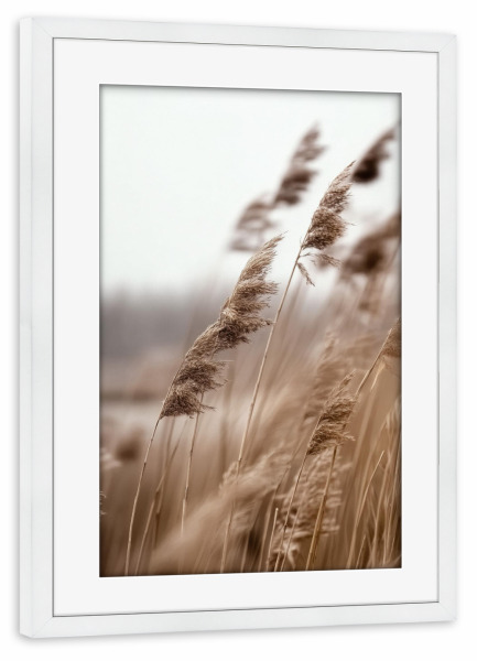 Poster mit Rahmen weiß "Windgepacktes Gras" artboxONE - Natur