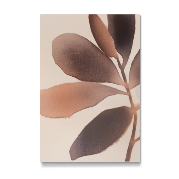 Galerie-Print "Erdige Töne abstraktes Blatt" 30x20 cm artboxONE