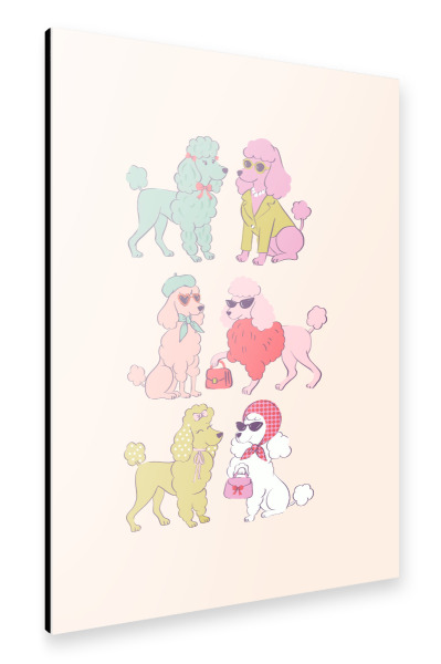 Alu-Dibond "Pudel Doodle" 75x50 cm artboxONE