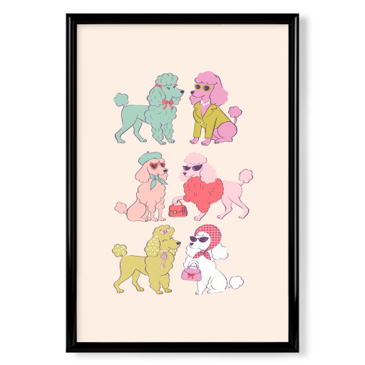 Pudel Doodle Pudel Doodle