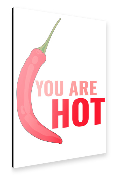 Alu-Dibond "You are hot" 30x20 cm artboxONE