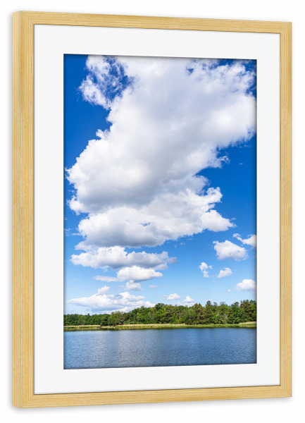 Poster mit Rahmen kiefer "Wolken und Bäume auf Uvö" artboxONE - Natur,Reise,Reise / Strand und Meer,Reise / Länder