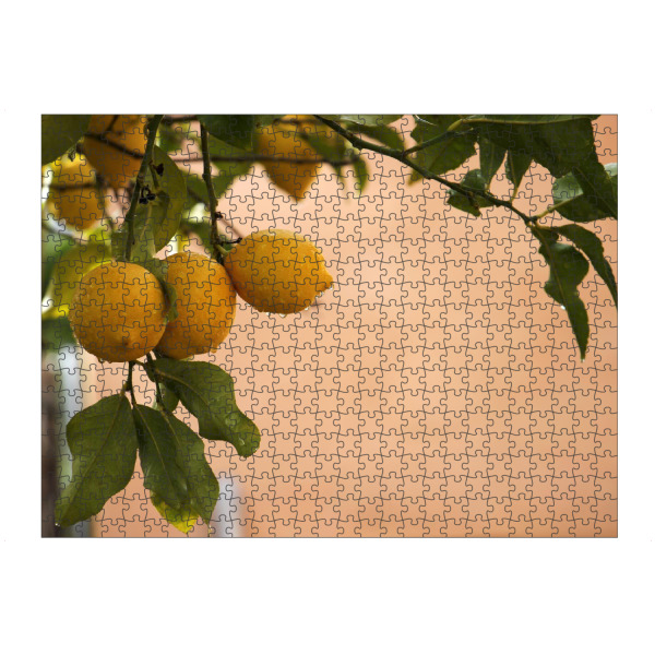 Puzzle Ravensburger "Spanische Zitronen im Regen" artboxONE - Essen & Trinken / Obst & Gemüse
