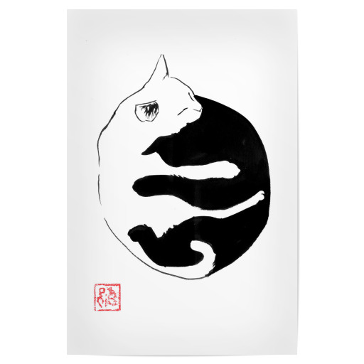 Ying Yang Cat