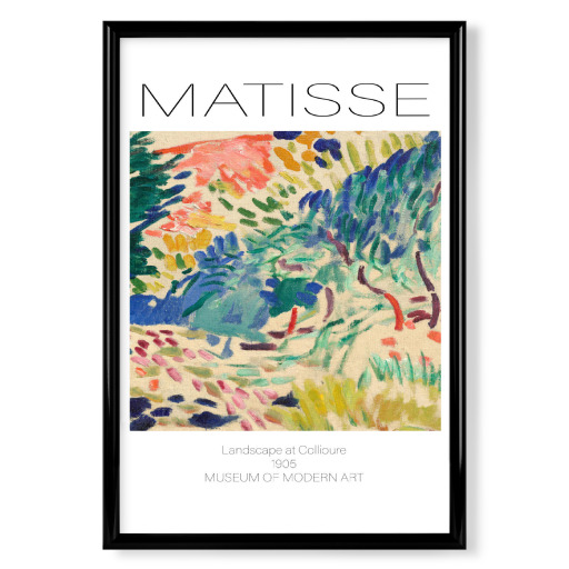 Henri matisse B