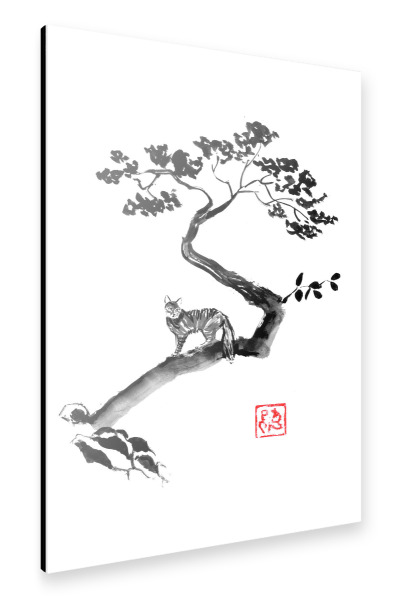 Alu-Dibond "Wilde Katze im Baum" 75x50 cm artboxONE