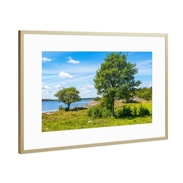 Poster mit Rahmen Gold "Bäume auf der Insel Sladö" artboxONE - Natur,Reise,Reise / Strand und Meer,Reise / Länder