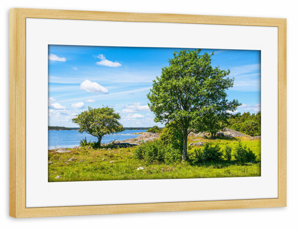 Poster mit Rahmen kiefer "Bäume auf der Insel Sladö" artboxONE - Natur,Reise,Reise / Strand und Meer,Reise / Länder