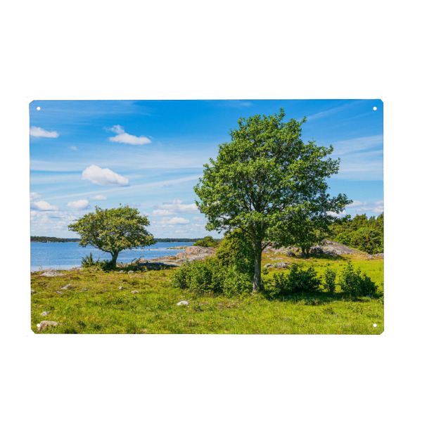 Holzbild "Bäume auf der Insel Sladö" artboxONE - Natur,Reise,Reise / Strand und Meer,Reise / Länder
