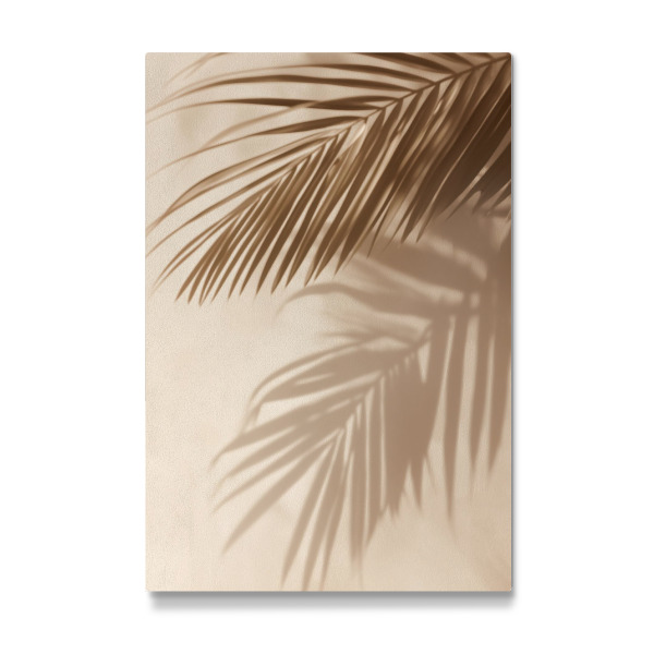 Galerie-Print "Palmblattschatten" 30x20 cm artboxONE