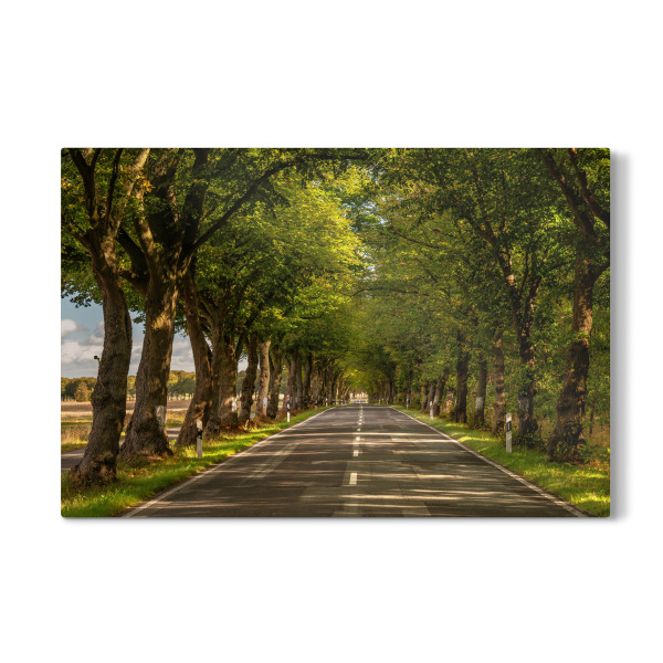 Galerie-Print "Mecklenburger Allee" 75x50 cm artboxONE
