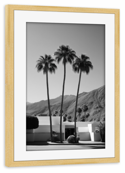 Poster mit Rahmen kiefer "Palmen mit Berg" artboxONE - Natur,Architektur