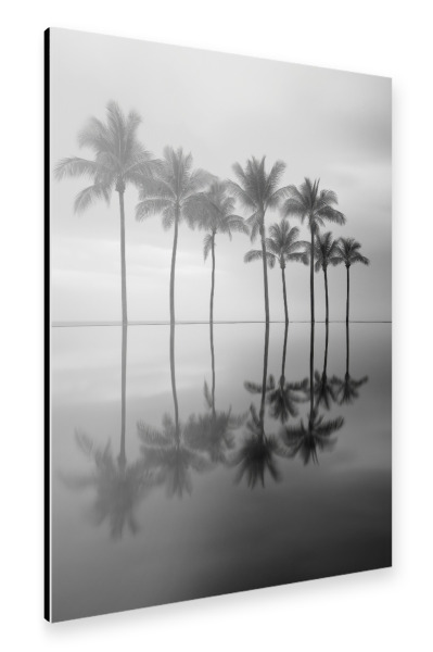 Alu-Dibond "Palmenreflexion" 30x20 cm artboxONE