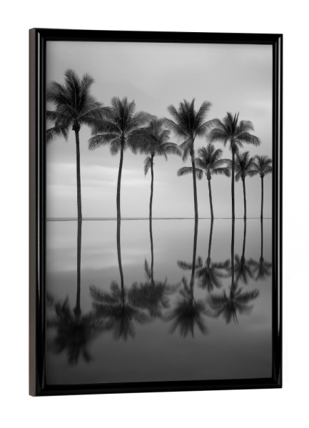 Poster mit schwarzem Rahmen "Palmenreflexion" artboxONE - Natur,Reise / Strand und Meer