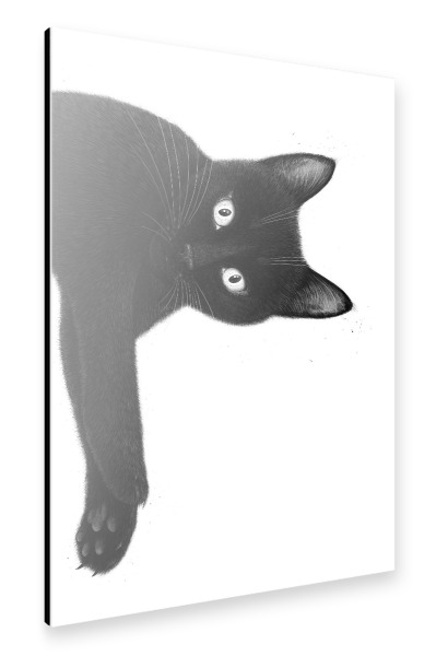 Alu-Dibond "Hängende schwarze Katze" 30x20 cm artboxONE