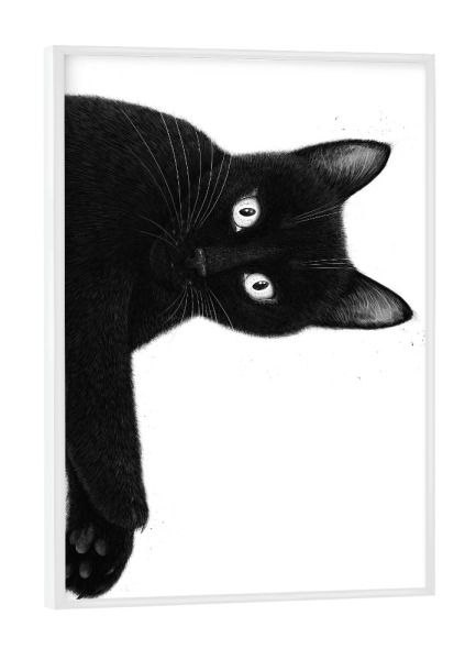 Poster mit weißem Rahmen "Hängende schwarze Katze" artboxONE - Für Kinder,Tiere,Für Mama,Halloween,Lustig