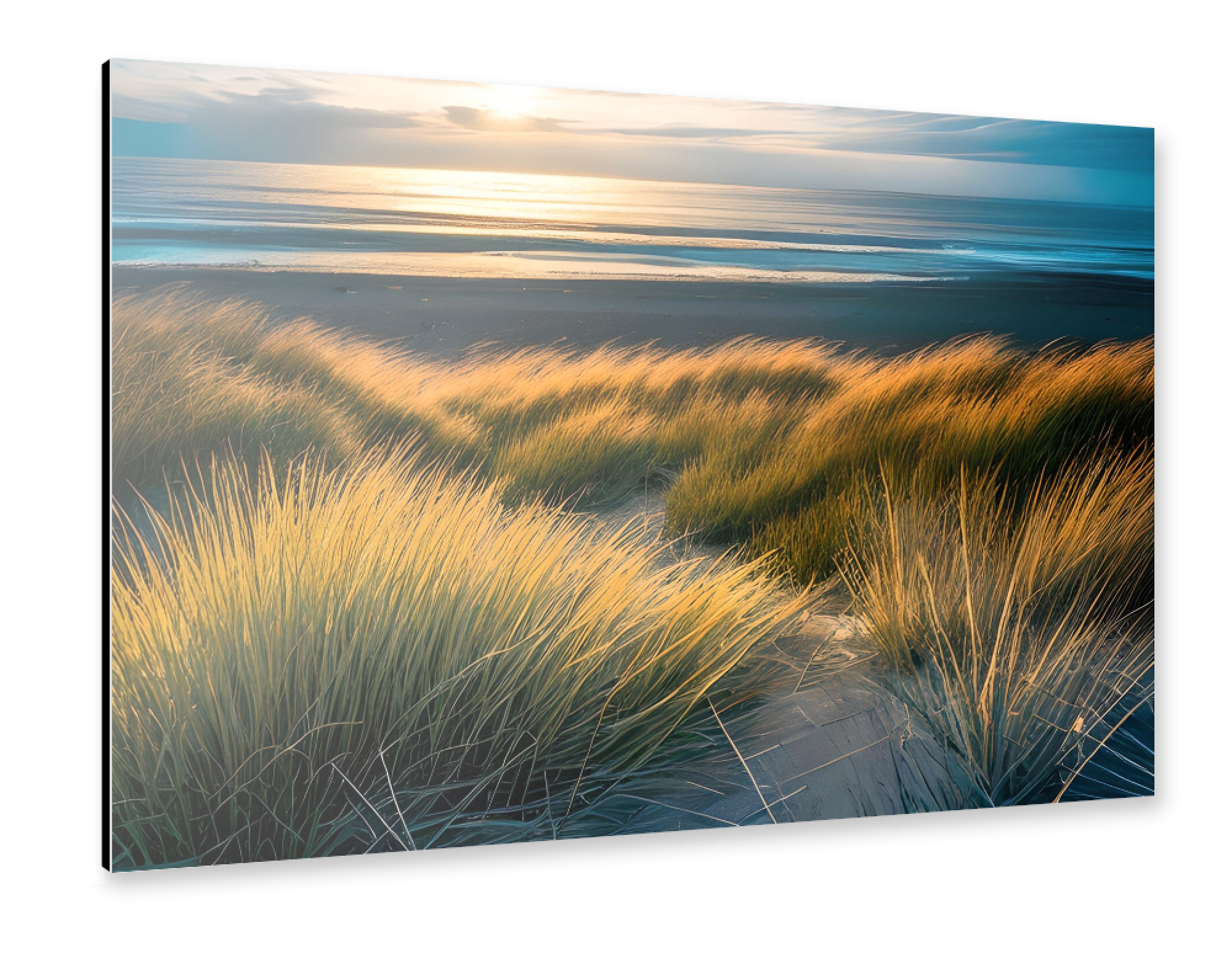 Alu-Dibond "Dünengras und Meer" 75x50 cm artboxONE