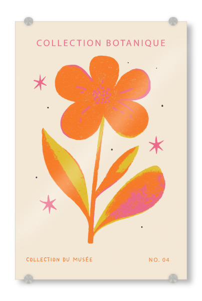 Acrylglasbild "Collection Botanique" artboxONE - Typografie,Floral,Abstrakt - Blume,Floral,Text,Museum,Shop,Sterne,Treechild,Illustration