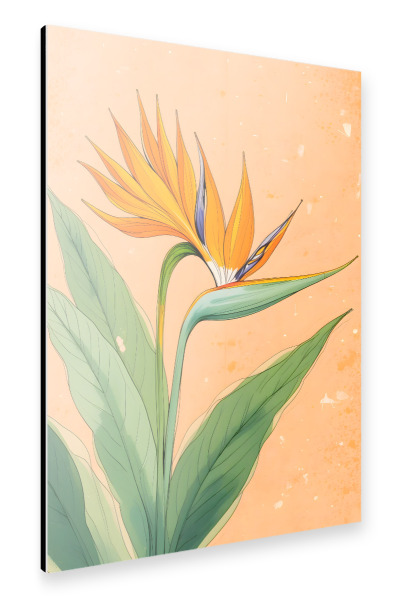 Alu-Dibond "Pfirsichhintergrund botanisch" 75x50 cm artboxONE