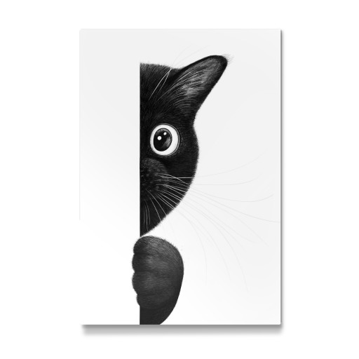 Peepping cat