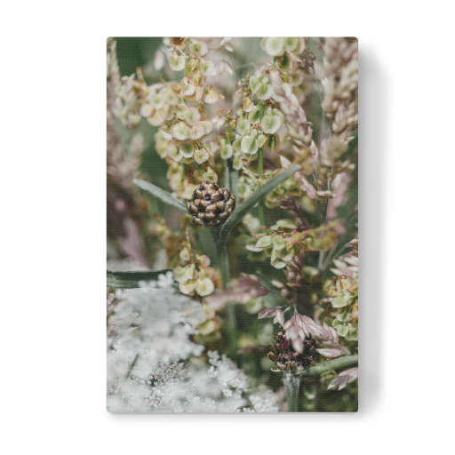 Boho Gartenromantik