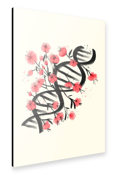 Alu-Dibond "Sakura Sumie DNA" 30x20 cm artboxONE