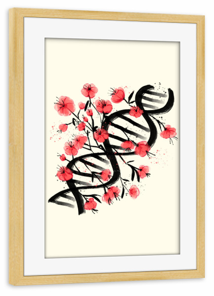 Poster mit Rahmen kiefer "Sakura Sumie DNA" artboxONE - Floral