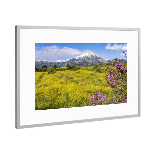 Poster mit Rahmen Silber "Frühling auf Euböa" artboxONE - Natur - Griechenland,Griechisch,Euböa,Evia,Insel,Euboea,Frühling,Dirfys,Schnee