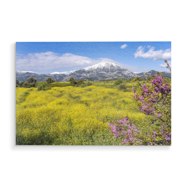 Holzbild "Frühling auf Euböa" artboxONE - Natur - Griechenland,Griechisch,Euböa,Evia,Insel,Euboea,Frühling,Dirfys,Schnee