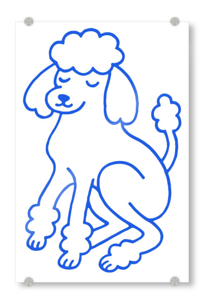 Acrylglasbild "The Serene Poodle" artboxONE - Tiere - Poodle,Minimalist,Serene,Dog,Pet art,Tranquility