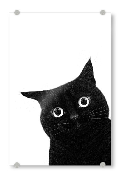 Acrylglasbild "Lustige pinkelnde schwarze Katze" artboxONE - Für Kinder,Tiere,Für Mama,Halloween,Lustig