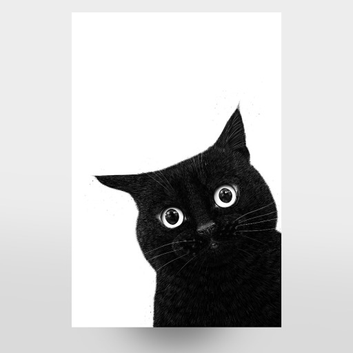 Funny peeping black cat