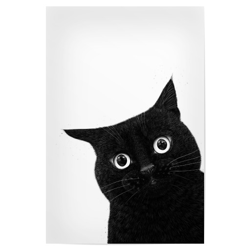 Funny peeping black cat
